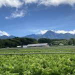 現在8月末ご宿泊分までご予約受付中です