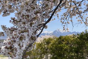 現在4月末ご宿泊分までご予約受付中です