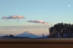現在12月末分までご予約可能です